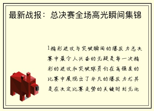 最新战报：总决赛全场高光瞬间集锦